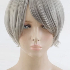 30cm Haikyuu!!! Koshi Sugawara Cosplay Wig