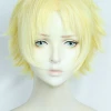 30cm Fate/Grand Order Prince Of Lan Ling Cosplay Wig -Cosplay Shopper Store COS 002 01 208