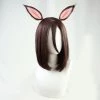 Brown 35cm Uma Musume Pretty Derby Air Groove Cosplay Wig 1 Brown 35cm Uma Musume Pretty Derby Air Groove Cosplay Wig -Cosplay Shopper Store COS 003 01 249