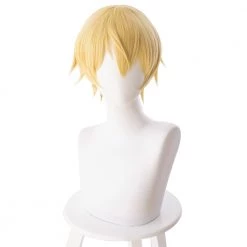 Gold 30cm Sword Art Online Alicization Eugeo Cosplay Wig