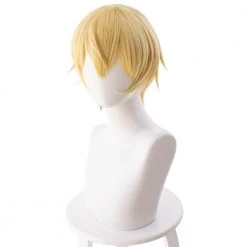Gold 30cm Sword Art Online Alicization Eugeo Cosplay Wig 8 Gold 30cm Sword Art Online Alicization Eugeo Cosplay Wig -Cosplay Shopper Store COS 006 03 102
