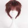 30cm A3! Act! Addict! Actors! Fushimi Omi Cosplay Wig