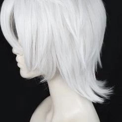 Silver 30cm The Case Study Of Vanitas Noe Archiviste Cosplay Wig -Cosplay Shopper Store COS 011 02 222