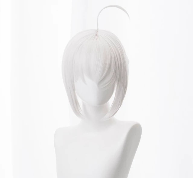 Silver 30cm Fate/Grand Order Gray Cosplay Wig 3 Silver 30cm Fate/Grand Order Gray Cosplay Wig