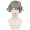 Grey 30cm Monogatari Sodachi Oikura Cosplay Wig 1 Grey 30cm Monogatari Sodachi Oikura Cosplay Wig -Cosplay Shopper Store COS 014 01 157