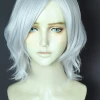 Silver 35cm Devil May Cry 5 V Cosplay Wig -Cosplay Shopper Store COS 016 01 154