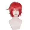 Red 30cm Cells At Work! Erythrocyte / Red Blood Cell Cosplay Wig -Cosplay Shopper Store COS 018 01 113