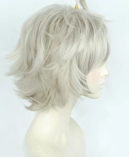 Grey 35cm Fate/Grand Order Garden Of Avalon Galahad Cosplay Wig 5 Grey 35cm Fate/Grand Order Garden Of Avalon Galahad Cosplay Wig - Image 3