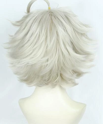 Grey 35cm Fate/Grand Order Garden Of Avalon Galahad Cosplay Wig 6 Grey 35cm Fate/Grand Order Garden Of Avalon Galahad Cosplay Wig - Image 4
