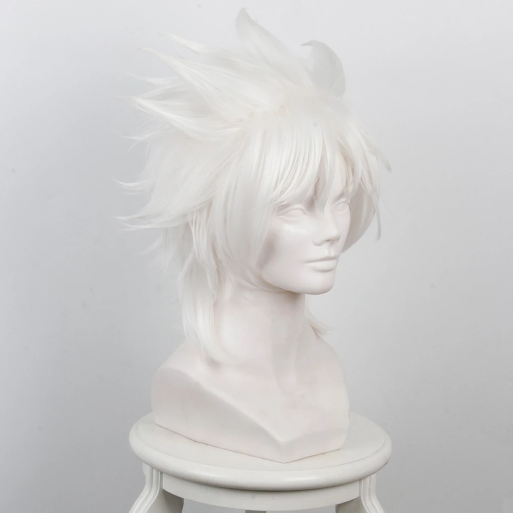 White 40cm Fate/Apocrypha Shirou Kotomine Cosplay Wig 4 White 40cm Fate/Apocrypha Shirou Kotomine Cosplay Wig - Image 2