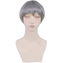 Grey 30cm Free! - Dive To The Future Aiichiro Nitori Cosplay Wig