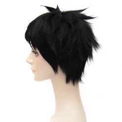 Black 30cm Touken Ranbu Atsushi Toushirou Cosplay Wig 7 Black 30cm Touken Ranbu Atsushi Toushirou Cosplay Wig -Cosplay Shopper Store COS 053 03 1