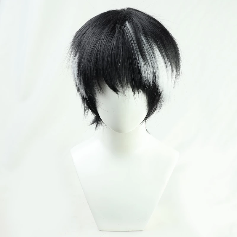30cm Kamen Rider Ex-Aid Hanaya Taiga Cosplay Wig 3 30cm Kamen Rider Ex-Aid Hanaya Taiga Cosplay Wig