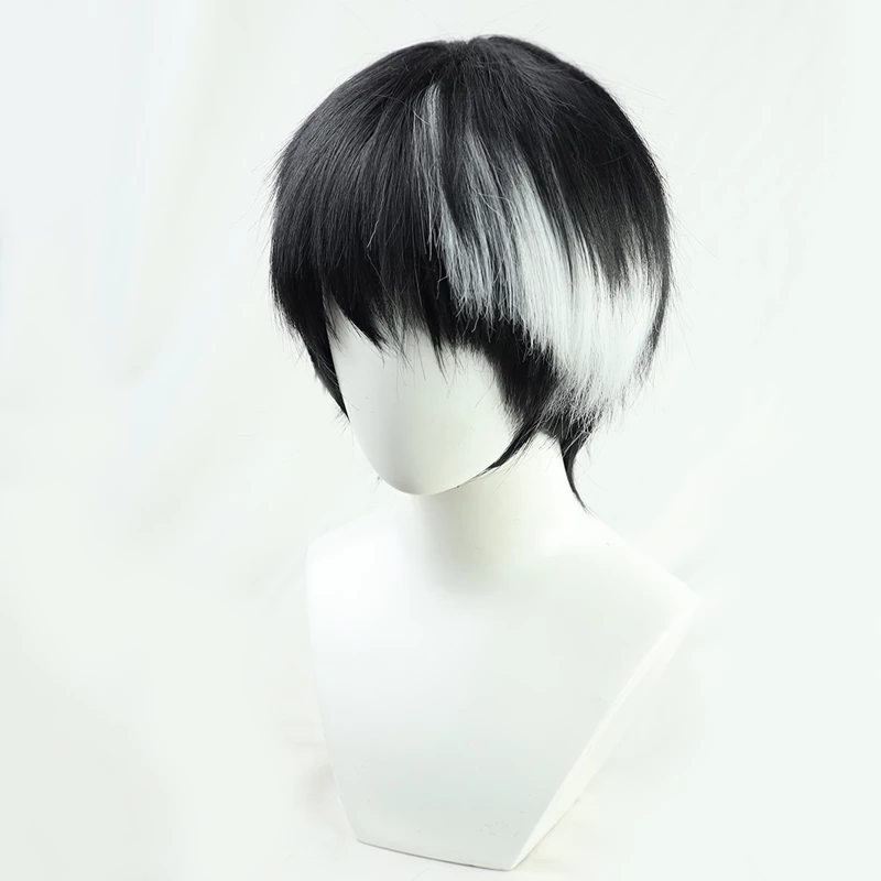 30cm Kamen Rider Ex-Aid Hanaya Taiga Cosplay Wig 5 30cm Kamen Rider Ex-Aid Hanaya Taiga Cosplay Wig - Image 3