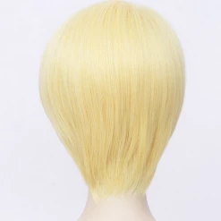 Gold 30cm Fire Emblem: Three Houses Dimitri Alexandre Blaiddyd Cosplay Wig -Cosplay Shopper Store COS 062 03 7