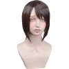 Brown 45cm UzaMaid! Uchi No Maid Ga Uzasugiru! Tsubame Kamoi Cosplay Wig
