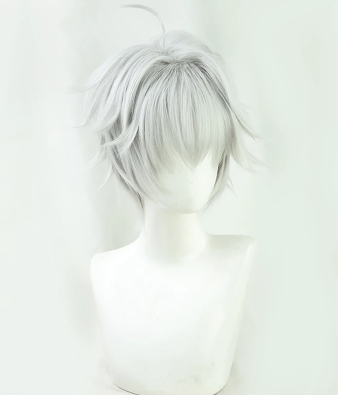 Silver 30cm The World's Finest Assassin Gets Reincarnated In Another World As An Aristocrat Lugh Tuatha Dé Cosplay Wig 3 Silver 30cm The World's Finest Assassin Gets Reincarnated In Another World As An Aristocrat Lugh Tuatha Dé Cosplay Wig