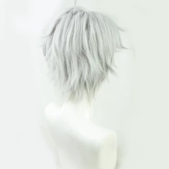 Silver 30cm The World's Finest Assassin Gets Reincarnated In Another World As An Aristocrat Lugh Tuatha Dé Cosplay Wig 7 Silver 30cm The World's Finest Assassin Gets Reincarnated In Another World As An Aristocrat Lugh Tuatha Dé Cosplay Wig -Cosplay Shopper Store COS 103 02 7