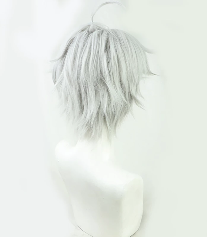 Silver 30cm The World's Finest Assassin Gets Reincarnated In Another World As An Aristocrat Lugh Tuatha Dé Cosplay Wig 5 Silver 30cm The World's Finest Assassin Gets Reincarnated In Another World As An Aristocrat Lugh Tuatha Dé Cosplay Wig - Image 3