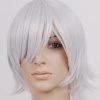Silver 32cm Hakuouki Toshizo Hijikata Cosplay Wig 1 Silver 32cm Hakuouki Toshizo Hijikata Cosplay Wig -Cosplay Shopper Store image 005c 10 5 2
