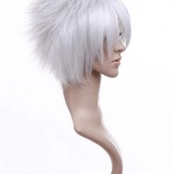 Silver 30cm Katekyo Hitman Reborn! Byakuran Nylon Cosplay Wig 9 Silver 30cm Katekyo Hitman Reborn! Byakuran Nylon Cosplay Wig -Cosplay Shopper Store image 011e 2 3 4 1