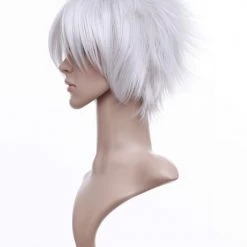 Silver 30cm Katekyo Hitman Reborn! Byakuran Nylon Cosplay Wig 10 Silver 30cm Katekyo Hitman Reborn! Byakuran Nylon Cosplay Wig -Cosplay Shopper Store image 011e 4 3 4 1
