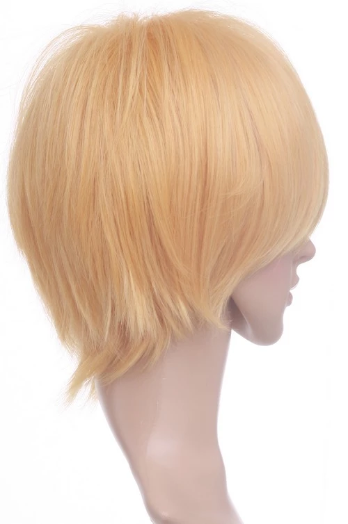 30cm Light Gold Axis Powers Hetalia Switzerland Vash Zwingli Cosplay Wig 5 30cm Light Gold Axis Powers Hetalia Switzerland Vash Zwingli Cosplay Wig - Image 3