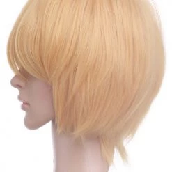 30cm Light Gold Axis Powers Hetalia Switzerland Vash Zwingli Cosplay Wig 10 30cm Light Gold Axis Powers Hetalia Switzerland Vash Zwingli Cosplay Wig -Cosplay Shopper Store image 169a 4 1 3 5 1