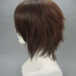Dark Brown 32cm Haruhi Suzumiya Koizumi Itsuki Cosplay Wig -Cosplay Shopper Store image 3 79 3 1