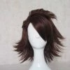 Brown 45cm Tiger & Bunny Kotetsu T. Kaburagi Cosplay Wig 2 Brown 45cm Tiger & Bunny Kotetsu T. Kaburagi Cosplay Wig -Cosplay Shopper Store image COS 10 02 1