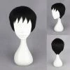 30cm Haikyuu!!! Daichi Sawamura Cosplay Wig